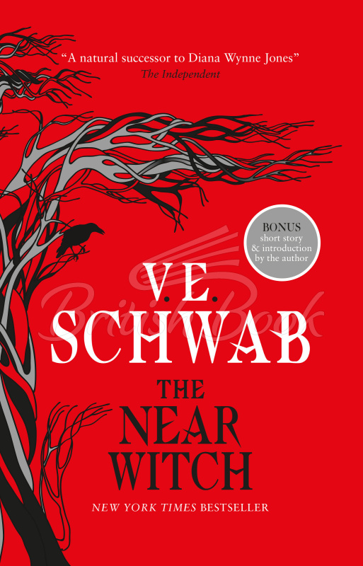 Книга The Near Witch зображення