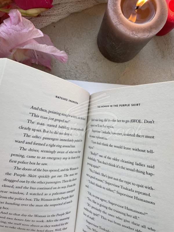 Книга The Woman in the Purple Skirt зображення 2