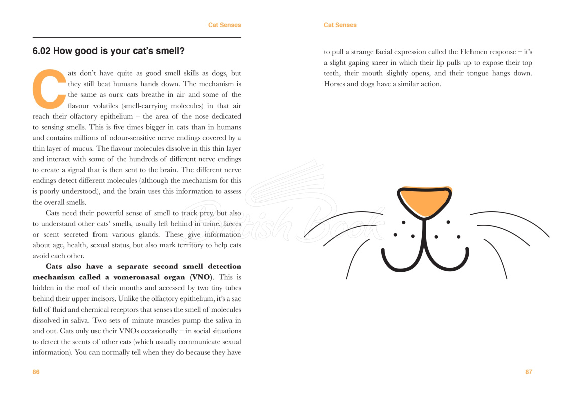 Книга Catology: The Weird and Wonderful Science of Cats изображение 10