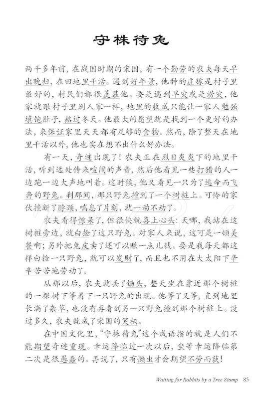 Книга Chinese Stories for Language Learners зображення 19