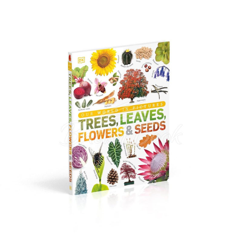 Книга Our World in Pictures: Trees, Leaves, Flowers and Seeds зображення 9