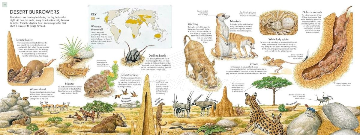 Книга Life Underground изображение 4