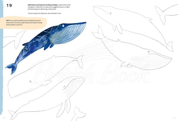 Книга Animal Art: 101 Creative Activities to Inspire and Guide You зображення 8