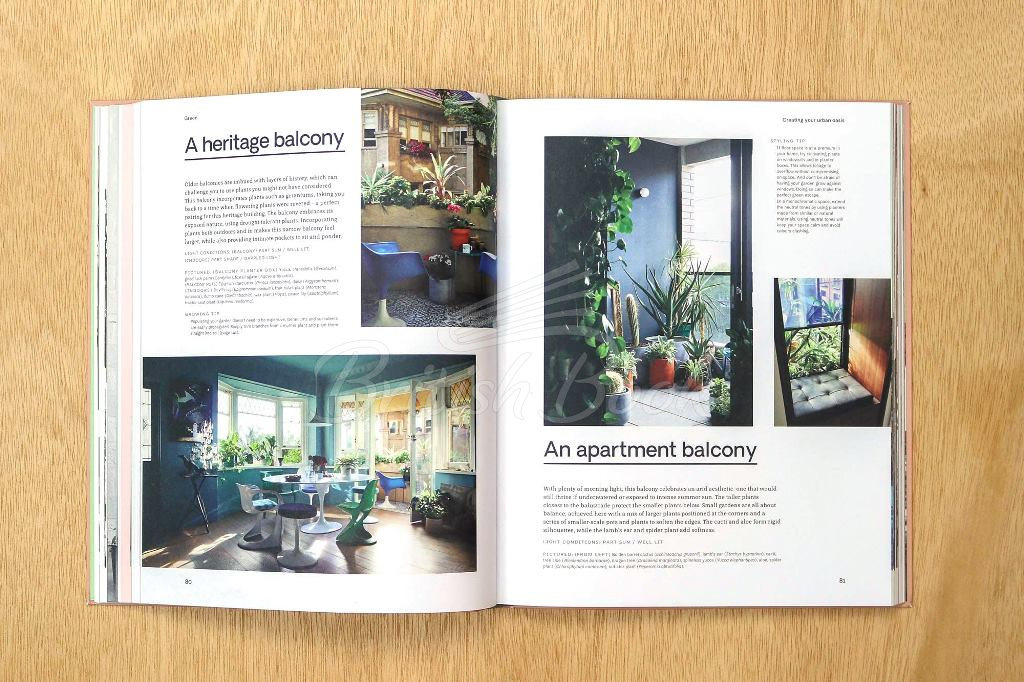 Книга Green: Plants for Small Spaces, Indoors and Out зображення 4