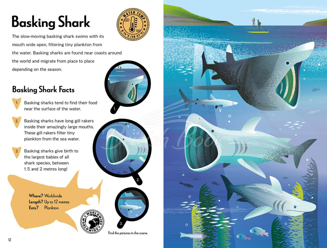 Книга Fantastic Fearsome Sharks изображение 6