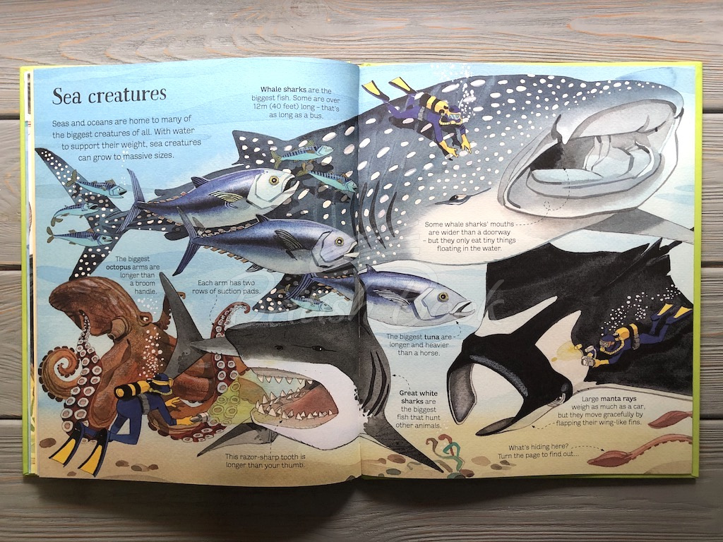 Книга Big Book of Animals изображение 8