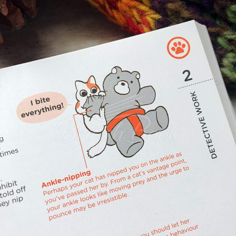 Книга What Cats Want: An Illustrated Guide for Truly Understanding Your Cat изображение 2