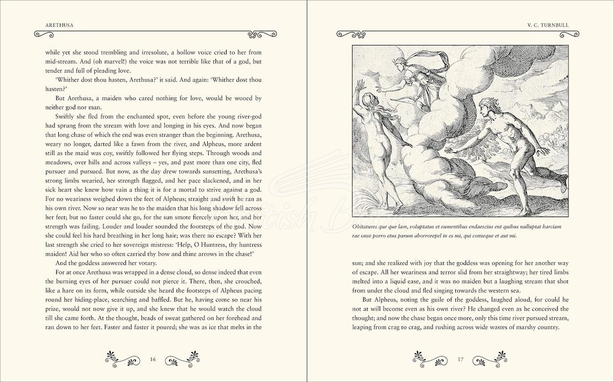 Книга Classical Mythology зображення 1
