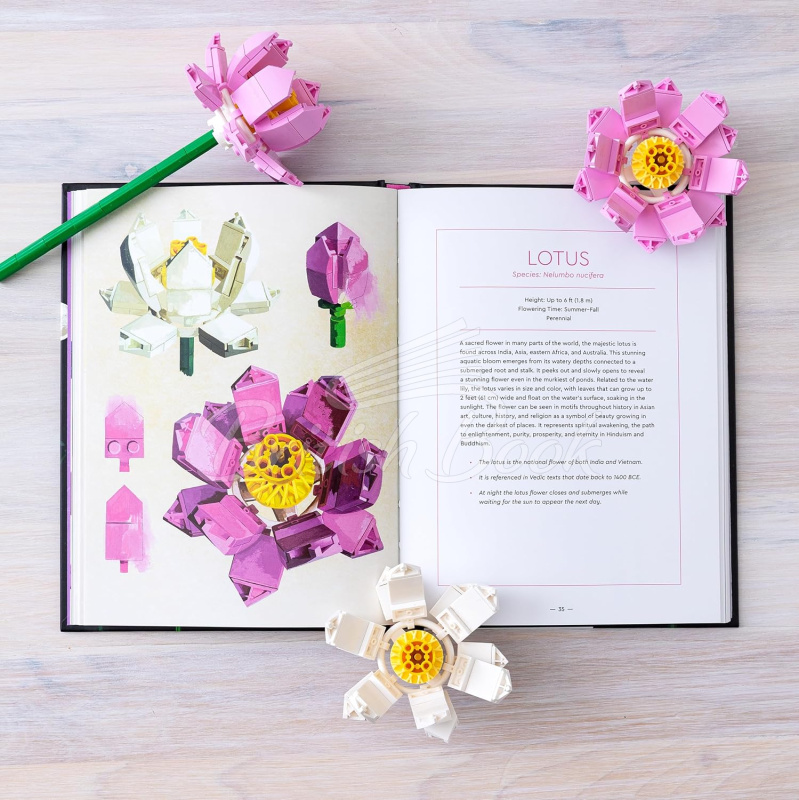 Книга LEGO Botanical Almanac: A Field Guide to Brick-Built Blooms зображення 4