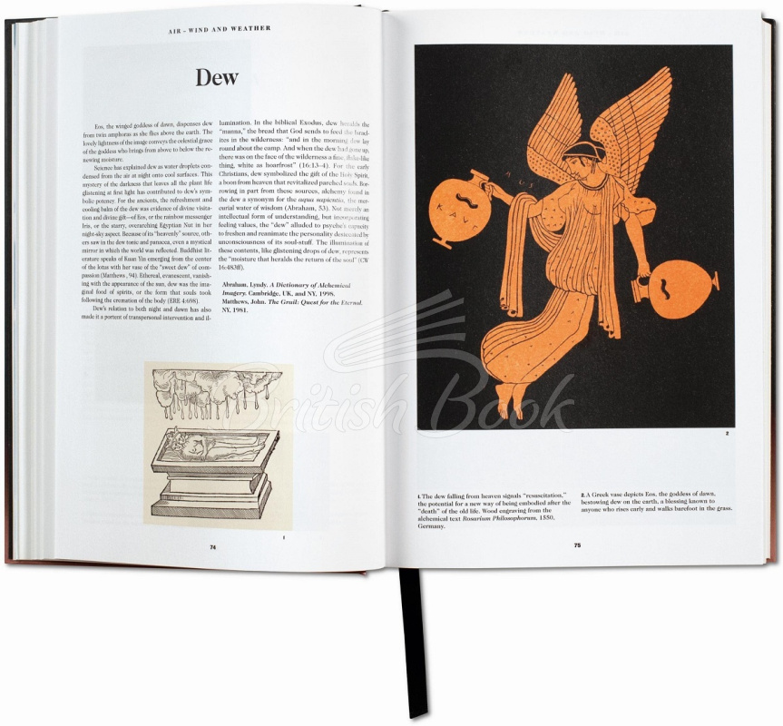 Книга The Book of Symbols: Reflections on Archetypal Images изображение 4