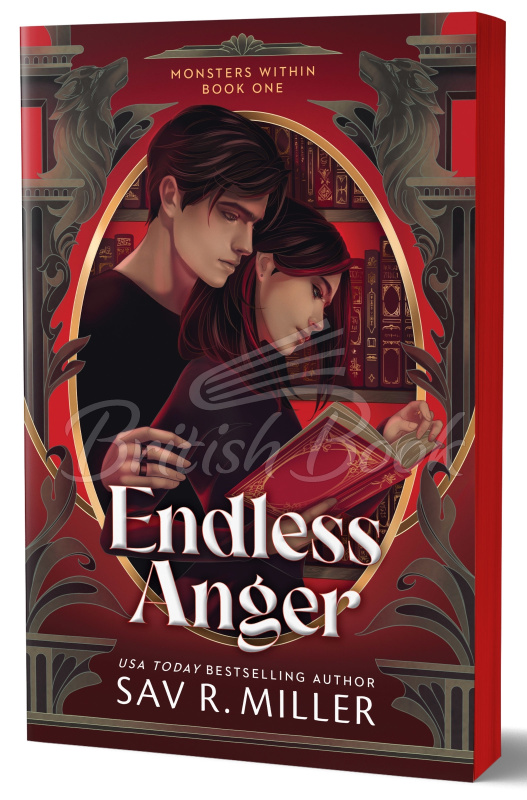 Книга Endless Anger зображення