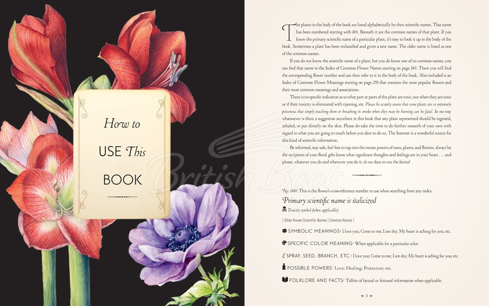 Книга The Complete Language of Flowers (Pocket Edition) зображення 1