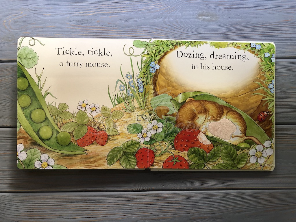 Книга Peter Rabbit: Tickle Tickle Peter! (A First Touch and Feel Book) изображение 5