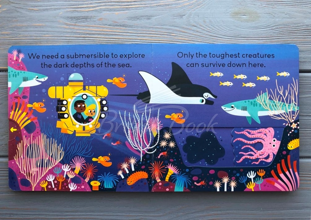 Книга Little World: Under the Sea изображение 2
