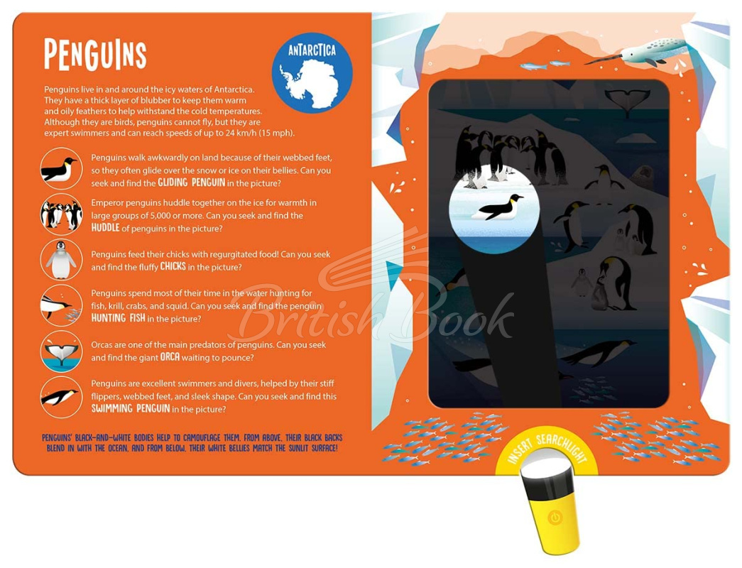 Книга Magic Searchlight: Animals зображення 1
