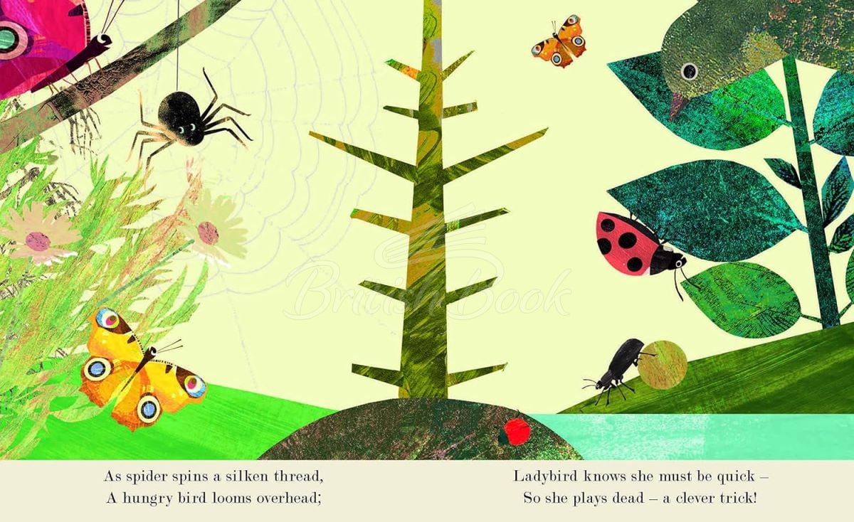 Книга A Peek-Through Introduction to Nature: Bugs изображение 6