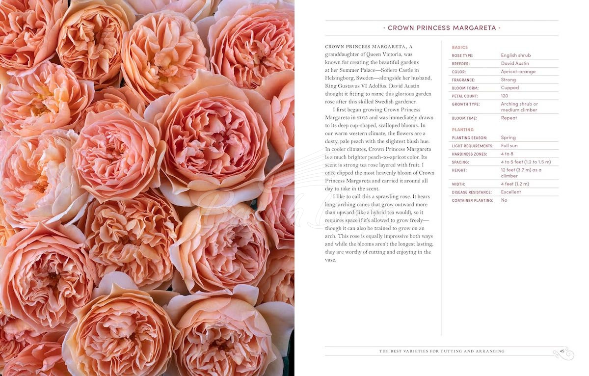 Книга Garden Roses зображення 3