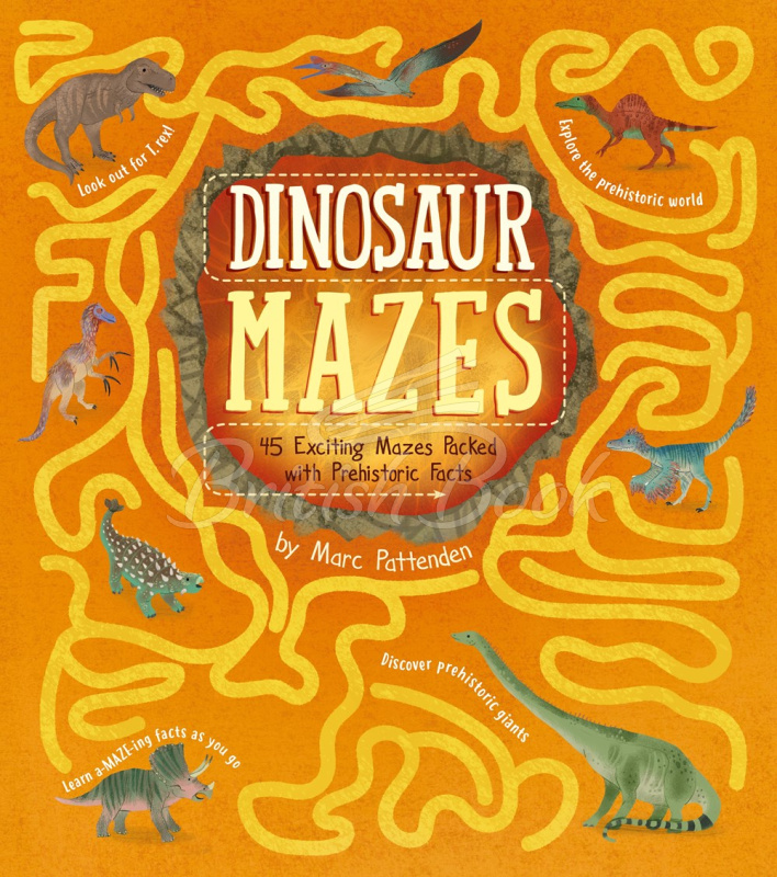 Книга Dinosaur Mazes зображення