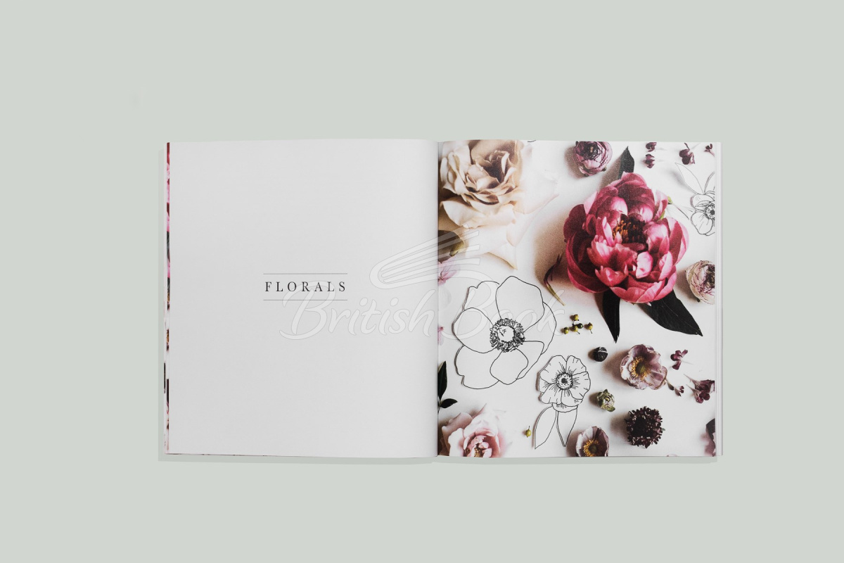 Книга How to Draw Modern Florals изображение 3