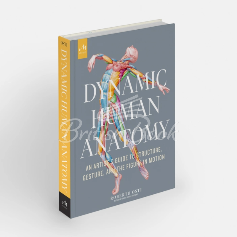 Книга Dynamic Human Anatomy: An Artist's Guide to Structure, Gesture, and the Figure in Motion зображення 1