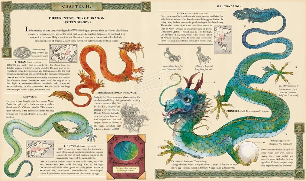 Книга Dragonology (20th Anniversary Edition) зображення 1