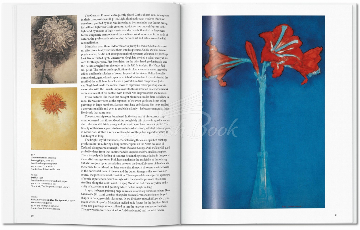 Книга Mondrian зображення 2
