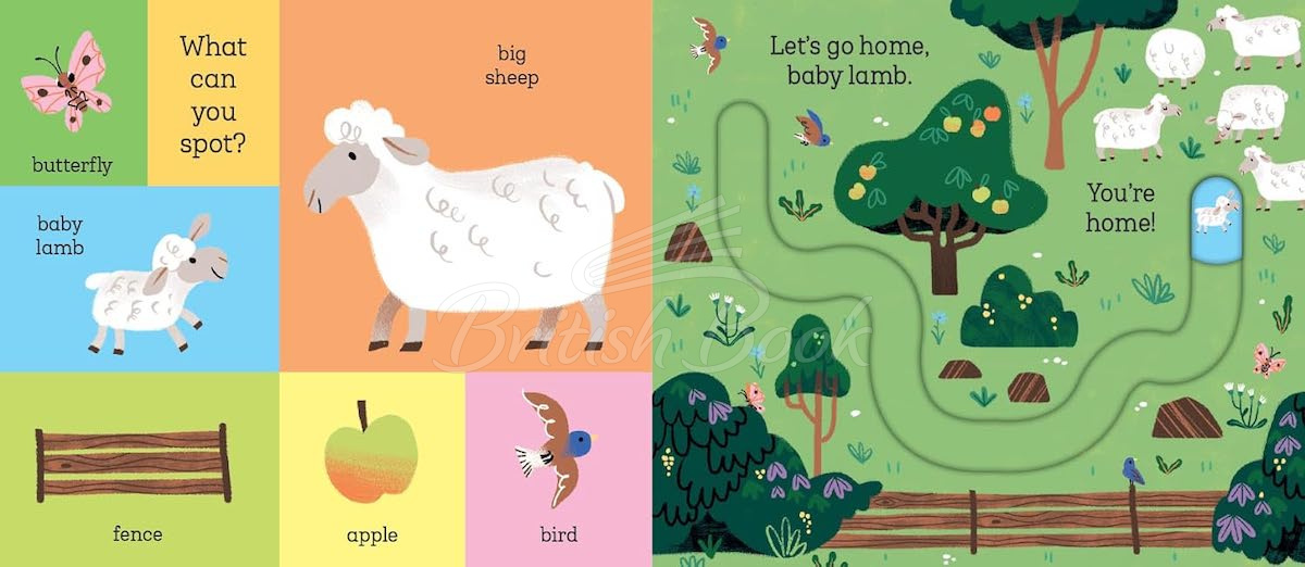 Книга Let's Go Home, Baby Chick зображення 4