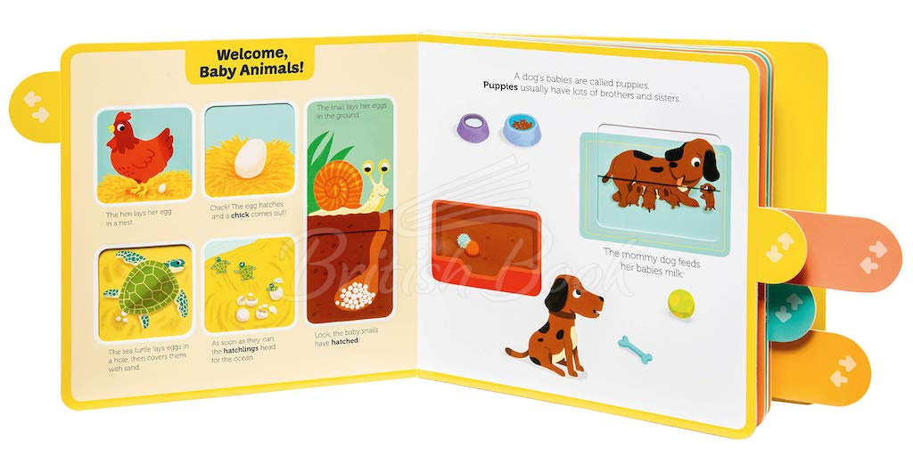 Книга PlayTabs: Baby Animals зображення 2