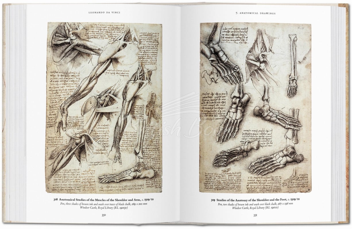 Книга Leonardo da Vinci: The Complete Drawings зображення 3