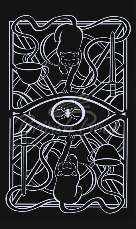 Карти таро Christina Ricci's Cat Full of Spiders Tarot Deck and Guidebook зображення 2