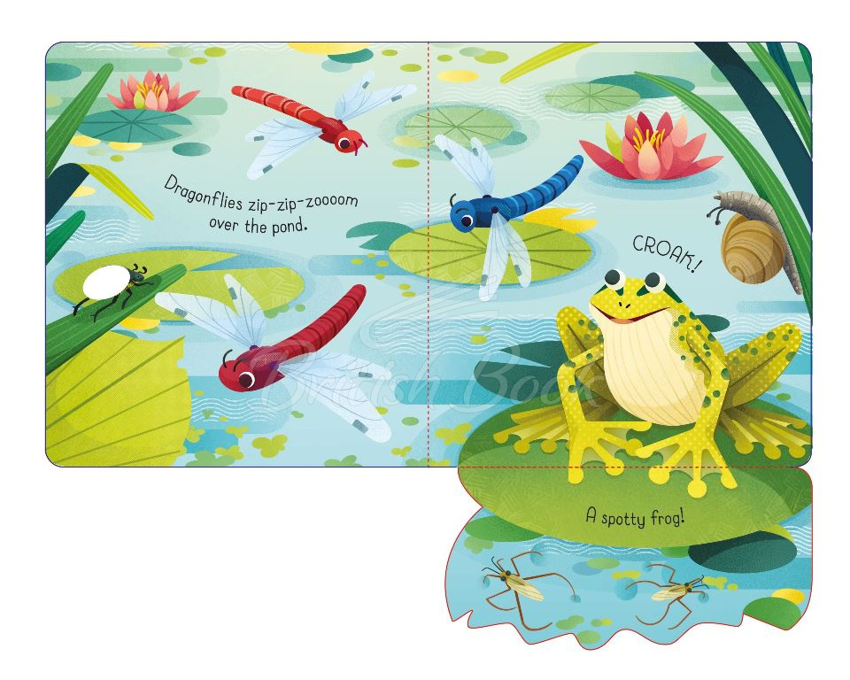 Книга Little Lift and Look: Spotty Frog зображення 1