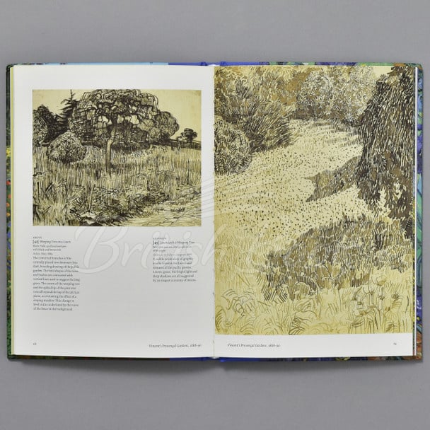 Книга Vincent's Gardens: Paintings and Drawings by van Gogh зображення 3