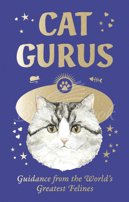 Карточки Cat Gurus изображение