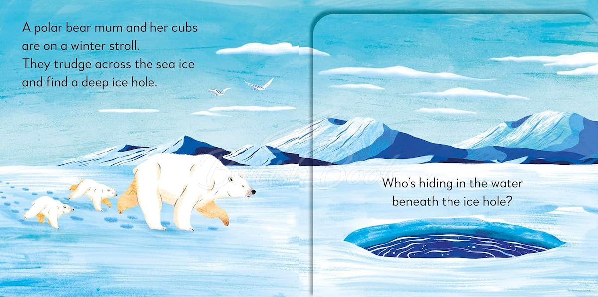 Книга Pop-Up Peekaboo! Winter зображення 2