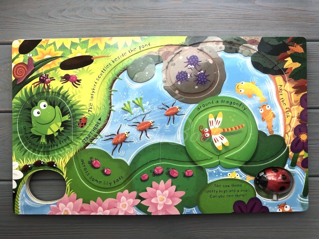 Книга Wind-up Ladybird зображення 6