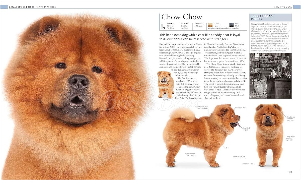 Книга The Dog Encyclopedia изображение 4