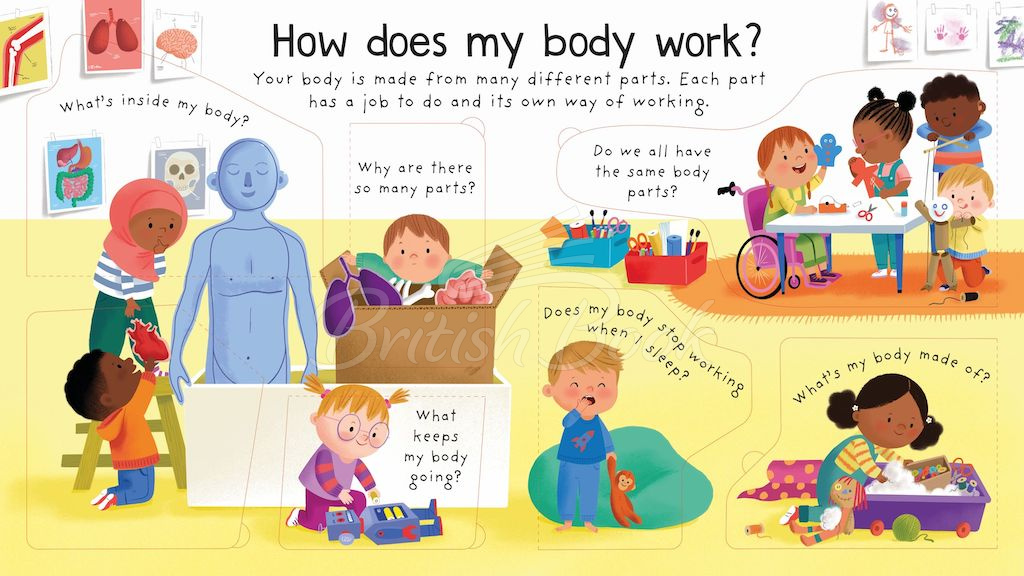 Книга Lift-the-Flap First Questions and Answers: How Does My Body Work? зображення 1