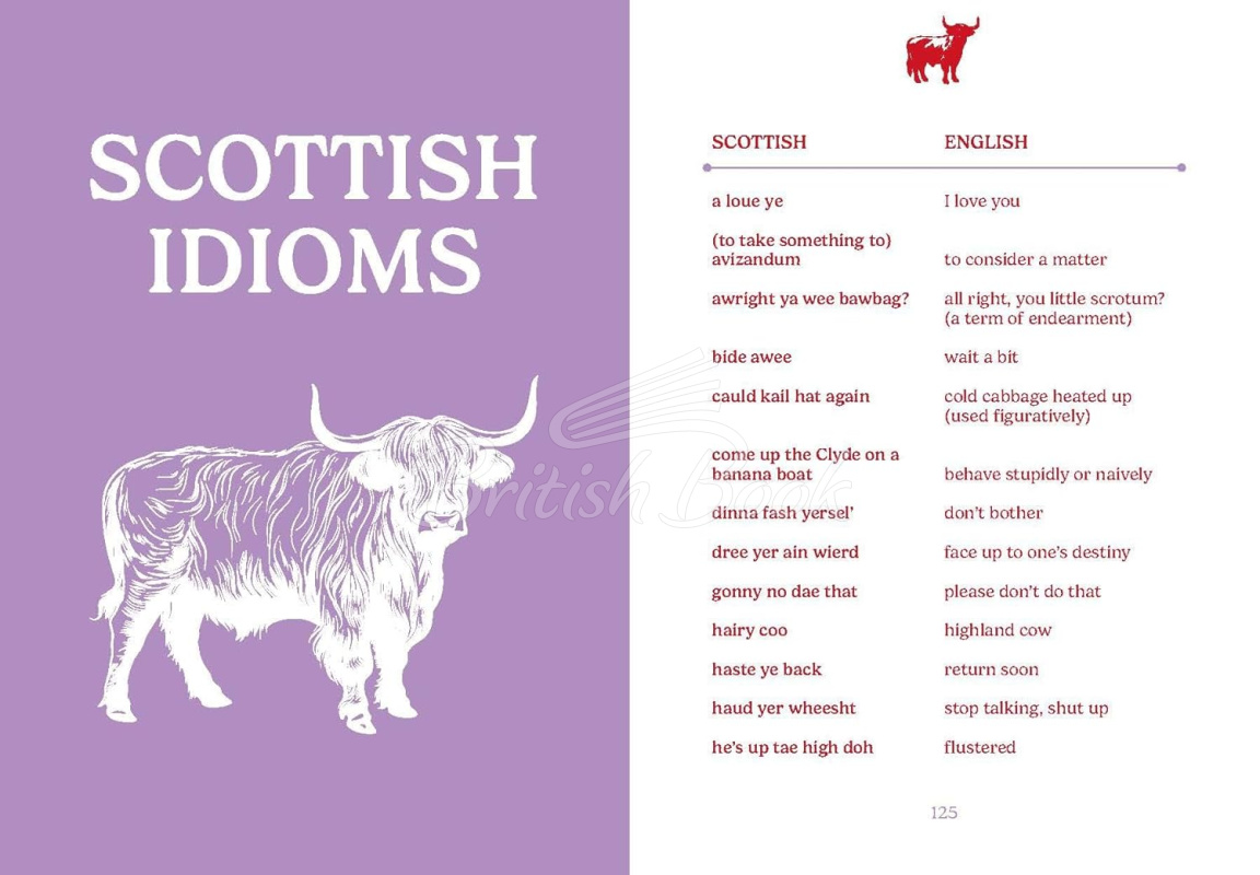 Книга The Pocket Scottish English зображення 4