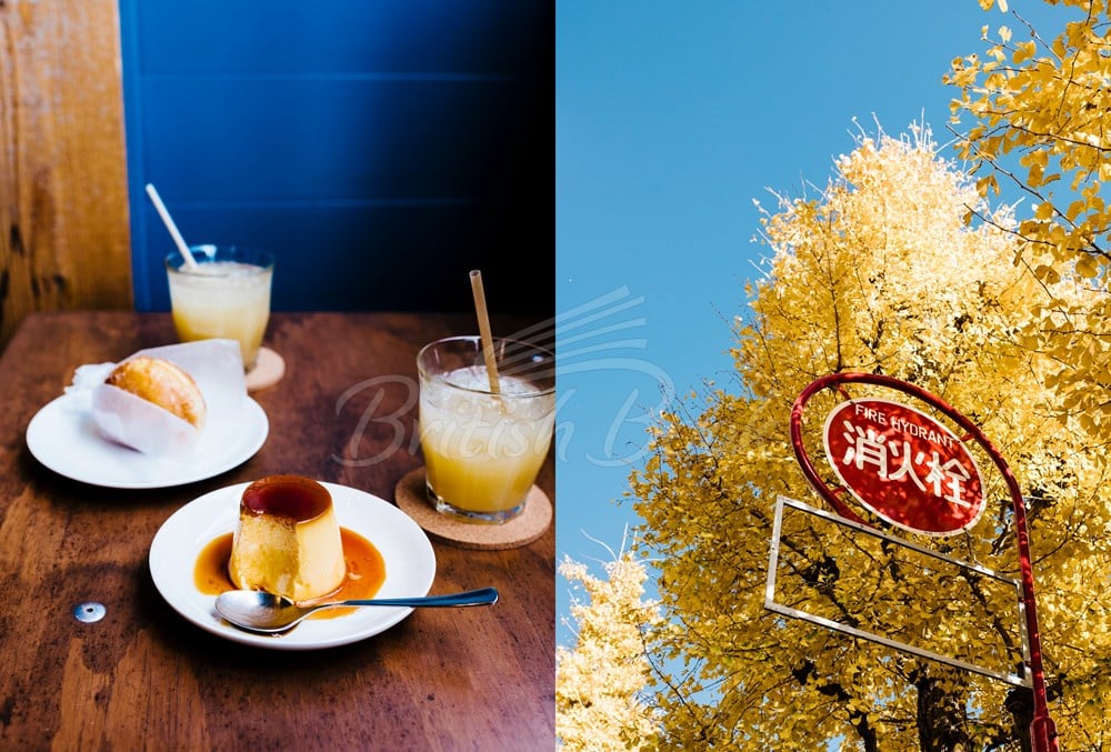 Книга A Day in Tokyo: A Japanese Cookbook зображення 12