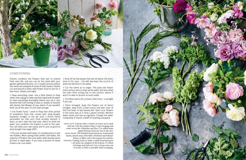 Книга In Bloom изображение 2