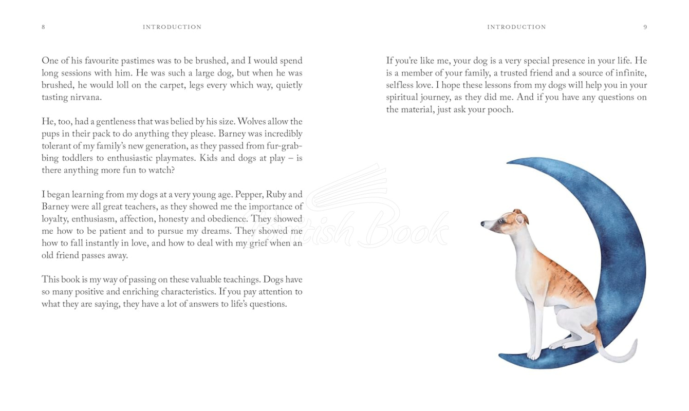 Книга 10 Spiritual Lessons You Can Learn from Your Dog: Essential Life Lessons We Can Learn From Our Furry Friend изображение 1