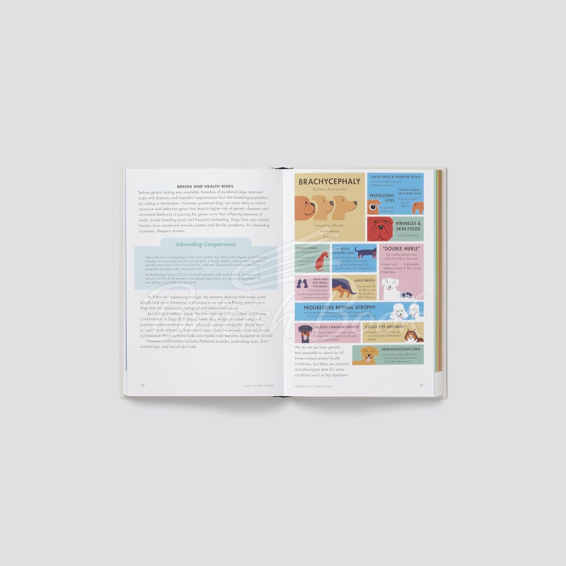 Книга Dogs of the World: An Illustrated Compendium изображение 2