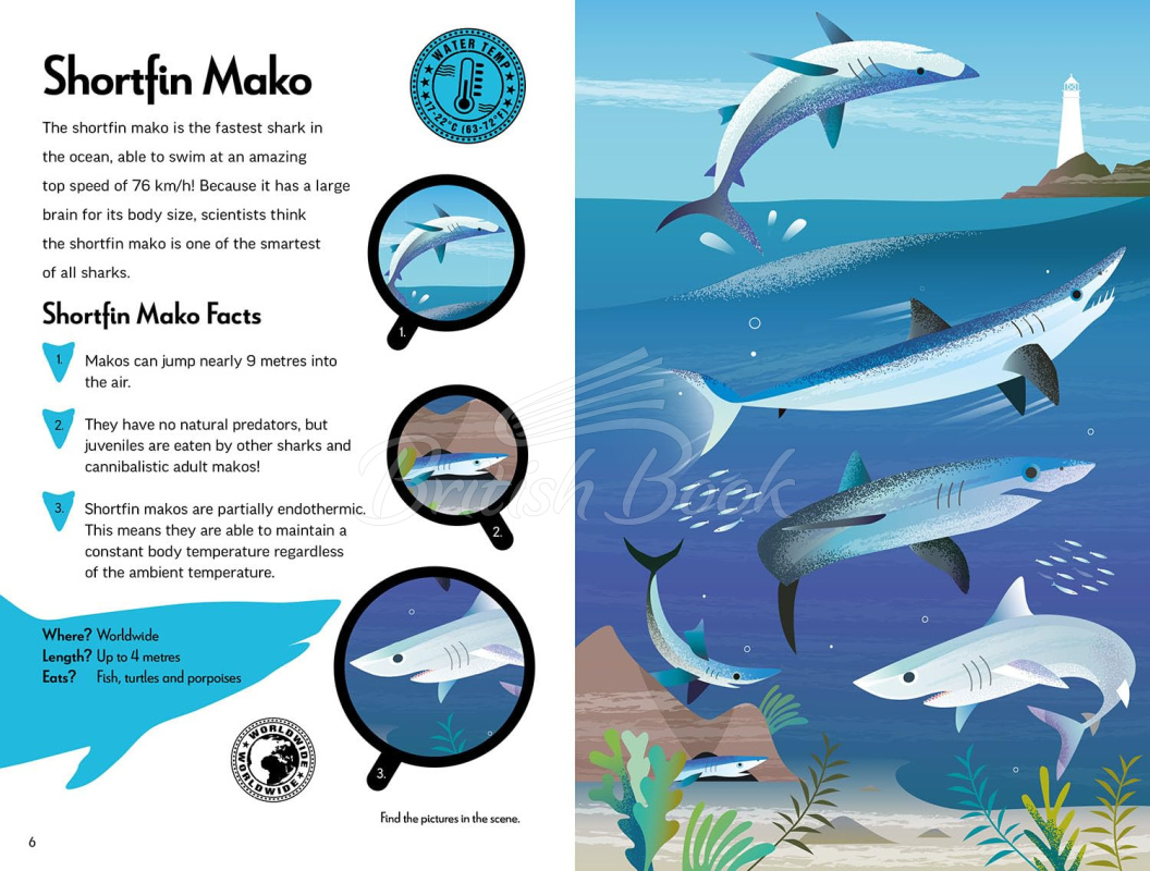 Книга Fantastic Fearsome Sharks изображение 3
