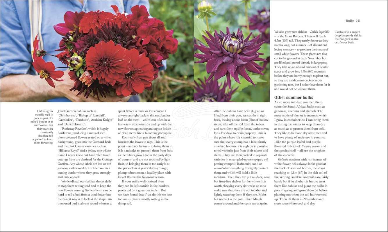 Книга The Complete Gardener: A Practical, Imaginative Guide to Every Aspect of Gardening зображення 4