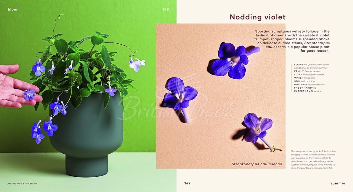 Книга Bloom: Flowering Plants for Indoors and Balconies зображення 8
