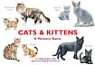 Cats and Kittens: A Memory Game