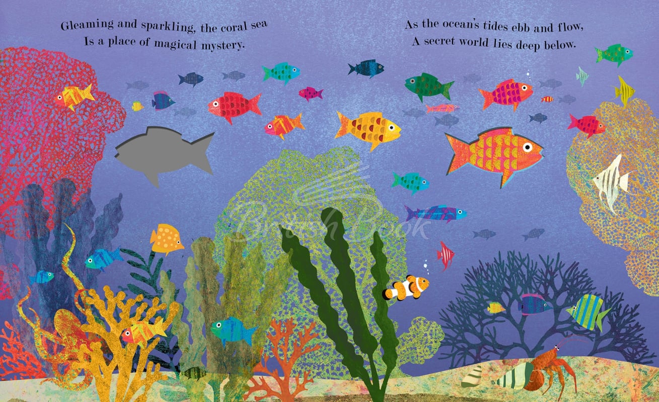 Книга Sea: A World Beneath the Waves зображення 1