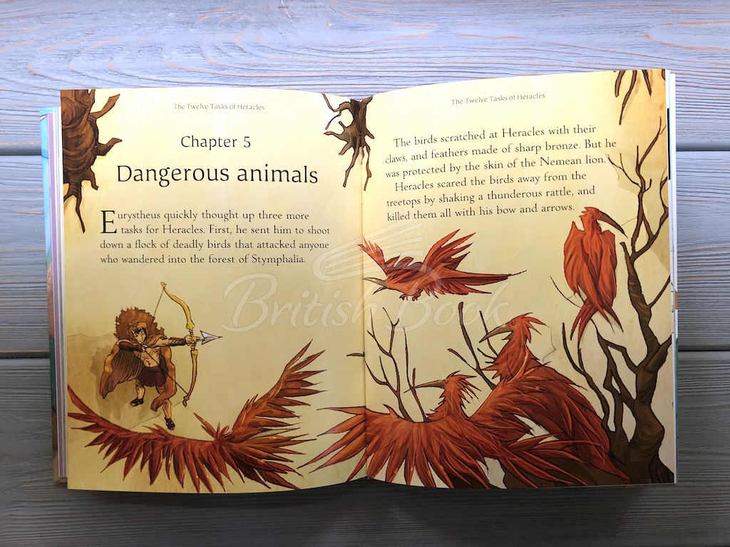 Книга Illustrated Stories from the Greek Myths зображення 9