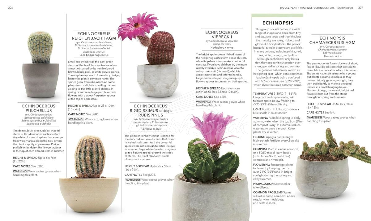 Книга RHS House Plant изображение 6