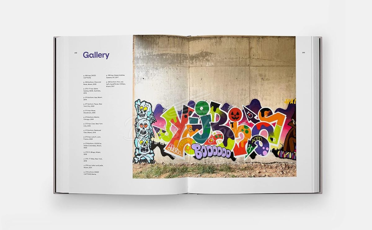 Книга The Wide World of Graffiti изображение 6